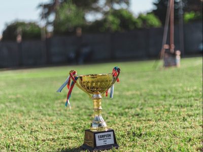 a trophy sitting on top of a lush green field