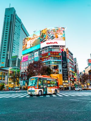 white and red buss on the middle of crossing street photo